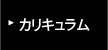 カリキュラム