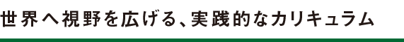 世界へ視野を広げる、実践的なカリキュラム