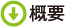 概要
